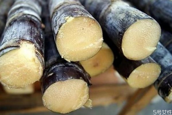 吃甘蔗有什么好处吗(吃甘蔗有什么好处吗?)