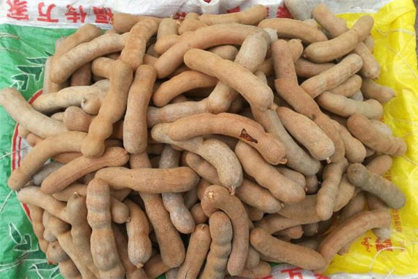 吃酸角的坏处,吃酸角有什么好处和坏处