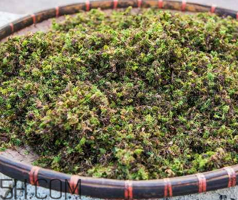 回春草生长在什么地方,回春草生长在什么地方,有根吗?