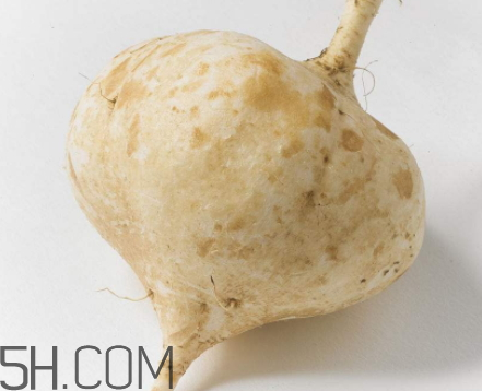 白地瓜是凉性的吗,白地瓜性温还是性寒