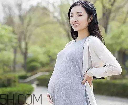 怀孕了能吃可乐鸡翅吗,怀孕期间可以吃可乐鸡翅吗