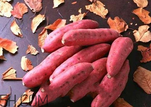 红薯为什么会裂皮,红薯为什么会裂开?