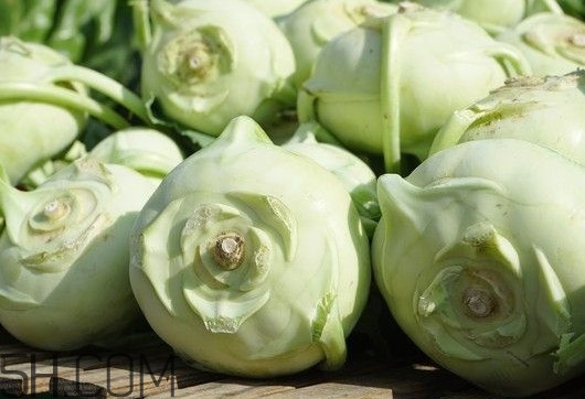 大头菜是发物吗 皮肤病,大头菜是发物吗