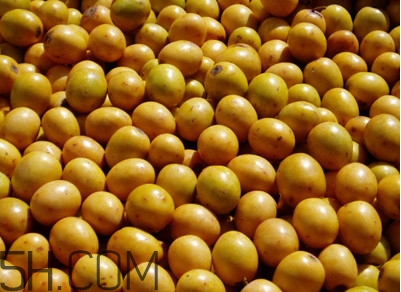 南酸枣什么时候成熟 酸枣成熟季节,南酸枣成熟时间