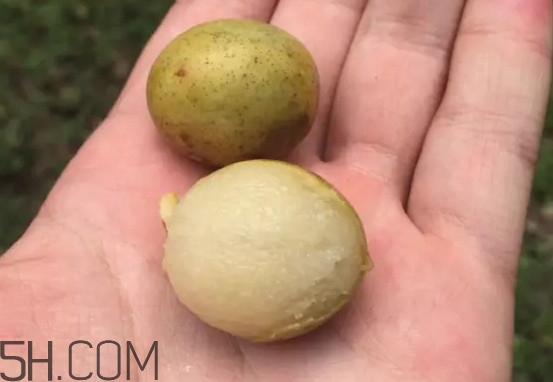 酸枣仁怎么吃,酸枣怎么吃最好