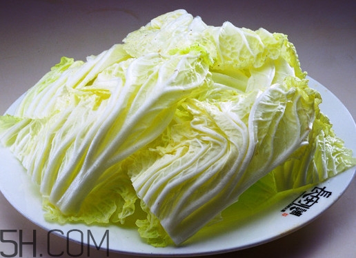 新鲜大白菜可以放冰箱吗,怎样保存大白菜新鲜