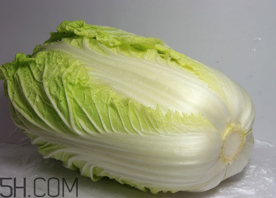 大白菜怎么保鲜,怎样腌制大白菜