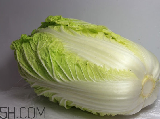 大白菜是凉性还是热性食物,大白菜是凉性还是热性的