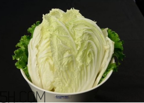 大白菜起源于哪里,大白菜起源在什么年代