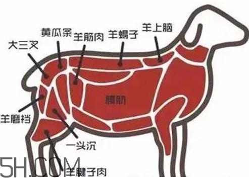 涮羊肉哪个部位最好吃图片,涮羊肉哪个部位最好吃?