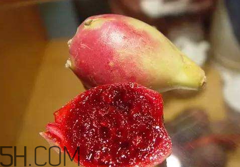 仙人掌果什么味道,仙人掌果味道如何