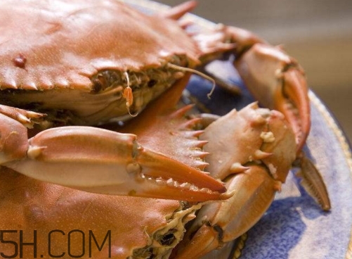 冬蟹蒸多长时间能熟,冬蟹蒸多久最佳时间