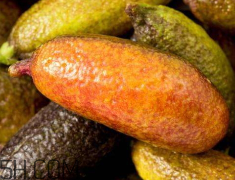 指橙怎么吃,指橙好吃吗