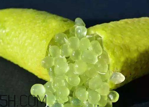 指橙好吃吗,指橙怎么吃