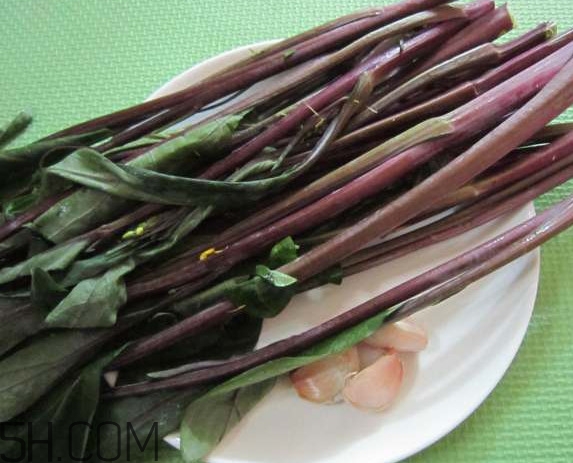 红菜苔炒着变绿色,红菜苔煮水什么颜色