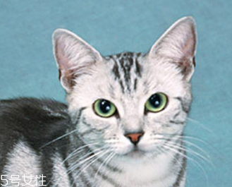 选择美瞳的注意事项,美瞳需要注意什么事项