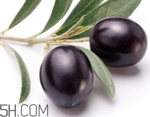 黑橄榄可以泡酒吗?,黑橄榄可以泡酒方法