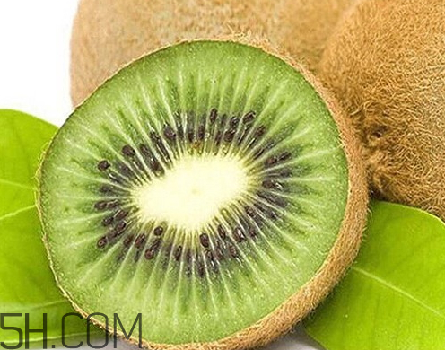 陕西海沃德猕猴桃什么时候成熟,海沃德猕猴桃产地