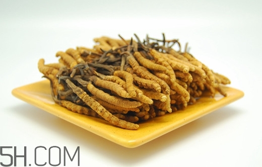 人工种植的冬虫夏草有营养价值吗,冬虫夏草有没有人工培植的 人工种植的冬虫夏草有营养价值吗,冬虫夏草有没有人工培植的