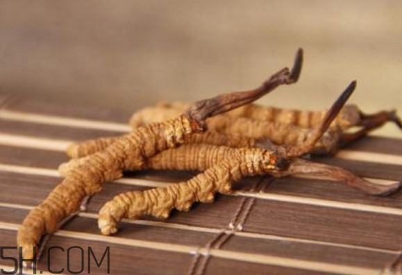 冬虫夏草怎么保存最好,冬虫夏草怎么存放