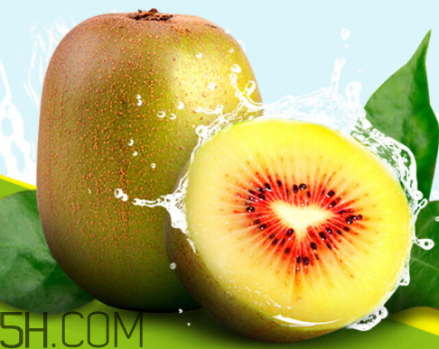 红心猕猴桃是凉性的吗?,红心猕猴桃性温还是凉 红心猕猴桃是凉性的吗?,红心猕猴桃性温还是凉