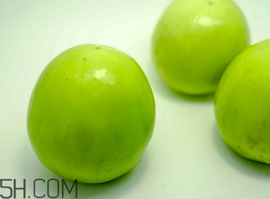 青枣核可以种吗,青枣核能种吗