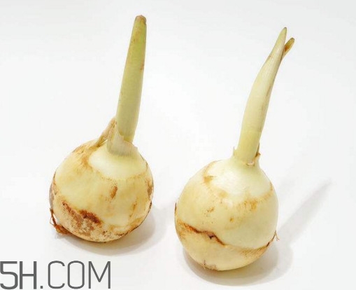 慈菇怎么洗干净,慈菇怎么洗视频