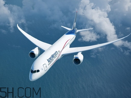 酱牛肉可以带上飞机吗?,酱牛肉可以带上飞机吗不托运