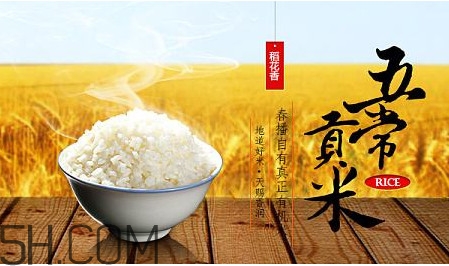 五常大米什么时候种植?,五常大米种植周期多长