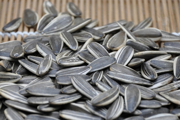 葵花籽怎么弄下来有什么好办法,葵花籽怎么弄下来视频