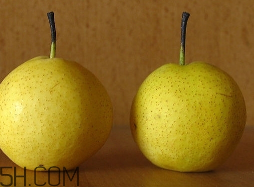 吃南果梨算酒驾吗,南果梨会不会查出酒驾