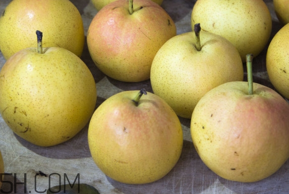 南果梨可以放冰箱吗?,南果梨可以冷冻保存吗 南果梨可以放冰箱吗?,南果梨可以冷冻保存吗