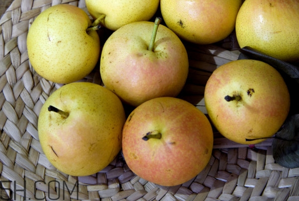 南果梨不熟的时候可以吃吗,南果梨是放软了吃吗 南果梨不熟的时候可以吃吗,南果梨是放软了吃吗