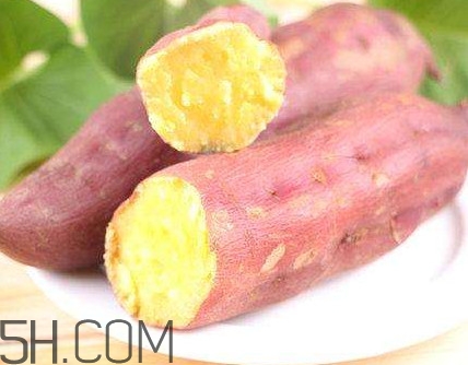 板栗红薯什么时候种植,板栗收成季节 板栗红薯什么时候种植,板栗收成季节