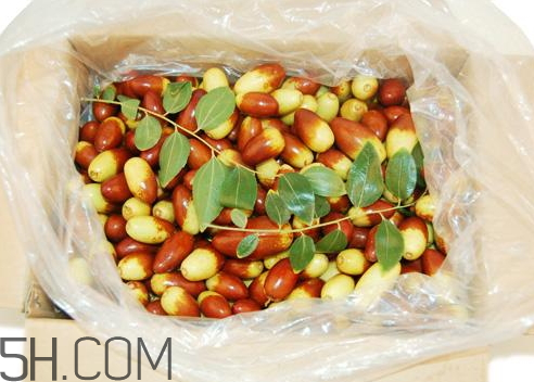 子弹头枣子图片大全,子弹头枣怎么吃