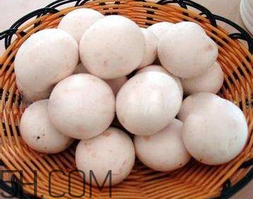 口蘑还有什么叫法,口蘑是什么样子