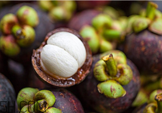 经期可以吃山竹吗?为什么?,女人月经期可以吃山竹吗 经期可以吃山竹吗?为什么?,女人月经期可以吃山竹吗