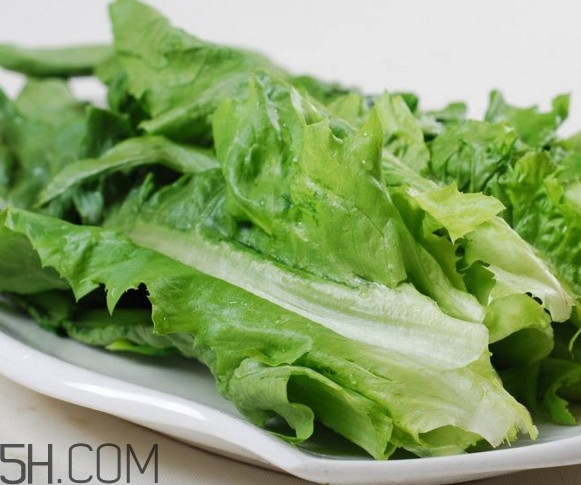 西红柿和油麦菜能一起吃吗?,西红柿跟油麦菜能一起吃吗