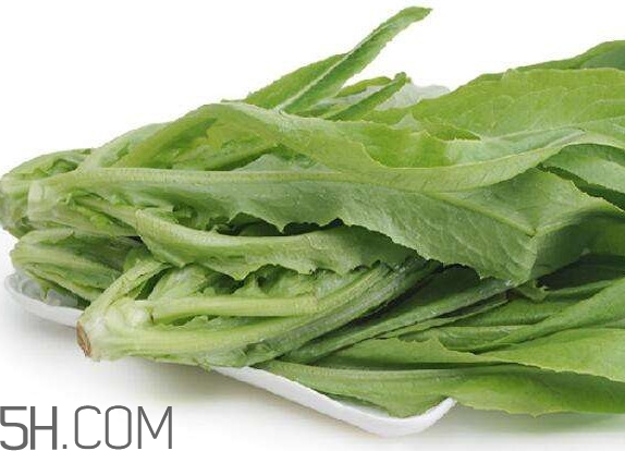 油麦菜可以隔夜吗,油麦菜可以隔夜吃吗