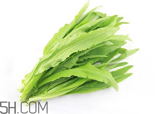 油麦菜是转基因的菜吗?,油菜是转基因的吗