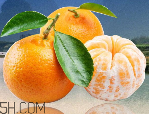 宫川蜜桔什么时候上市,广西蜜桔什么时候上市 宫川蜜桔什么时候上市,广西蜜桔什么时候上市