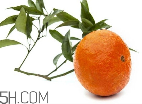 沃柑什么时候种植合适?,目前最好的柑橘品种 沃柑什么时候种植合适?,目前最好的柑橘品种