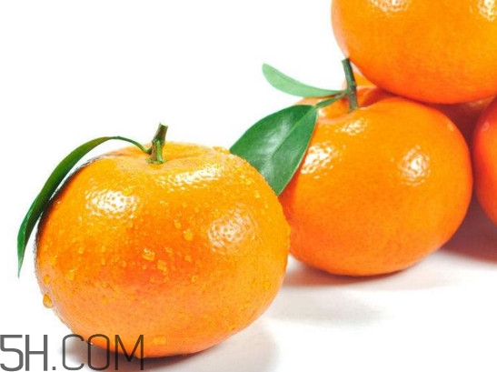 沃柑多少钱一斤?,目前沃柑的价格