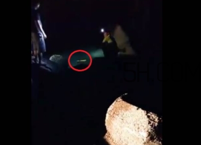 黄金鲈鱼图片,最好的鲈鱼是什么品种