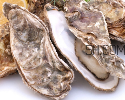 海蛎子怎么保存时间长,海蛎子肉怎么吃 海蛎子怎么保存时间长,海蛎子肉怎么吃