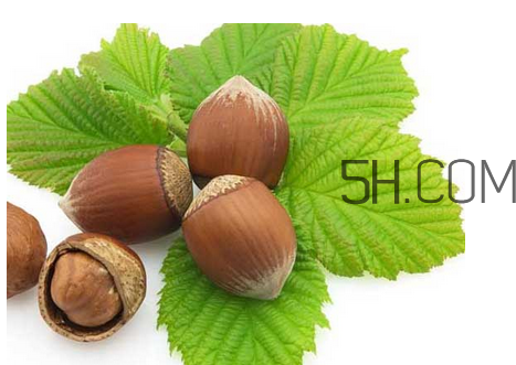 榛子可以用烤箱烤吗?,榛子能用烤箱烤吗