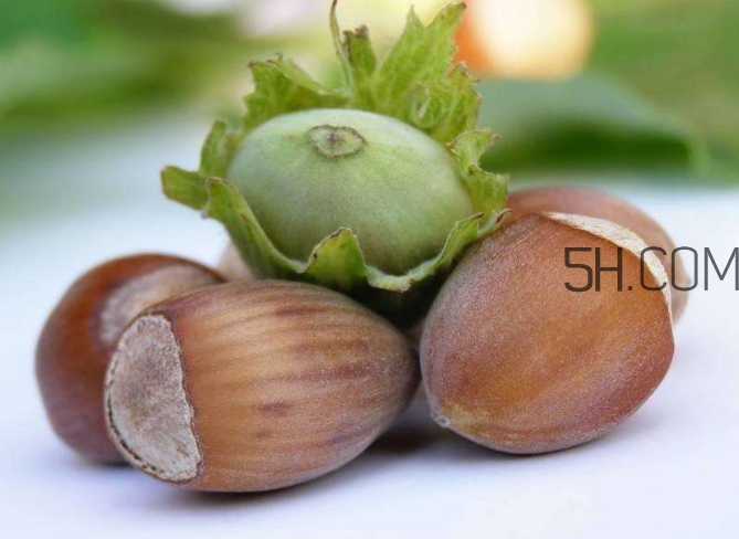 吃榛子的好处有哪些,榛子多少钱一斤?榛子的营养价值