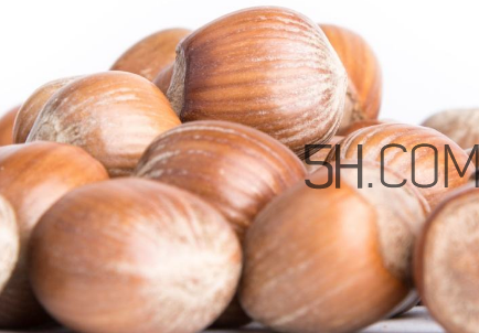 榛子和板栗有什么区别,榛子和板栗一样吗