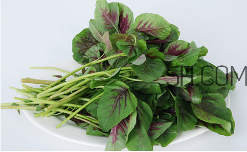 苋菜为什么是红的,红苋菜为什么是红色的 苋菜为什么是红的,红苋菜为什么是红色的