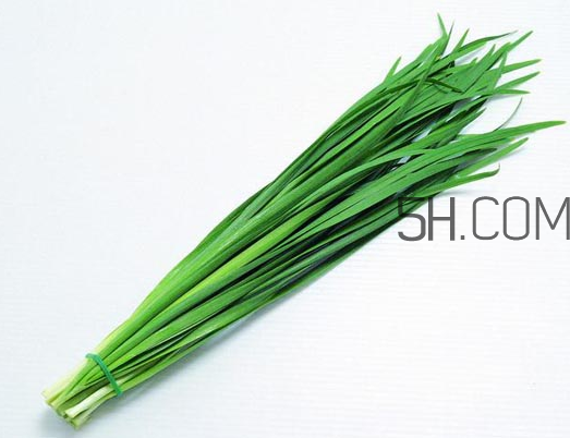 秋天吃韭菜好吗?,秋天吃韭菜好吗?问医生 秋天吃韭菜好吗?,秋天吃韭菜好吗?问医生